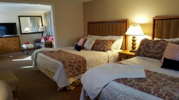 Starlight Lodge Cape Cod image 11