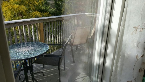 Starlight Lodge Cape Cod image 12